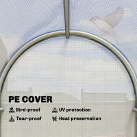 Outsunny Mini Greenhouse, Portable Green House with Roll-Up Door, PE Base, Small Greenhouse, 100 x 100 x 195 cm, White(m-5)