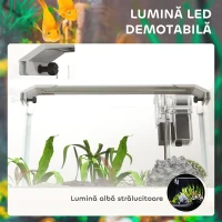 PawHut Acvariu pentru Pești Roșii din Sticlă cu Lumini LED cu Filtru și Pompă de Apă, 38x26x27 cm, Alb(m-5)