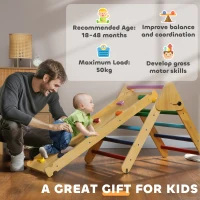 AIYAPLAY Toddler Climbing Frame for Kids with Ramp, 3 in 1 Wooden Pikler Triangle Set for 18-48 Months, Multicolour(m-8)