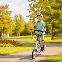 HOMCOM Dual Brakes 12" Metal frame Kick Scooter adjustable black(m-2)