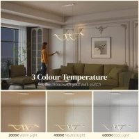 HOMCOM Pendant Light with 3 Colour Temperatures - Silver Tone(m-4)