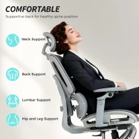 HOMCOM Ergonomic Office Chair, High Back Mesh Desk Chair, Grey(m-4)