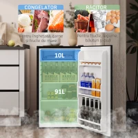 HOMCOM Mini Frigider 91L MonoPortă Reversibil cu Congelator și Temperatură Reglabilă, Negru(m-4)