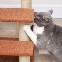 PawHut Kratzbaum, Haustiertreppe, 3 Stufen, Spielball, bis 5 kg, 45x40x48cm, Braun(m-8)