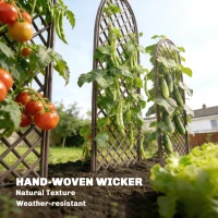 Outsunny Garden Arch, Garden Arbor with 8mm Wicker and Dome Top, Natural Wood Finish(m-6)