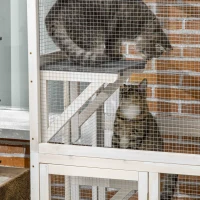 PawHut Wooden Catio Cat Outdoor Enclosure, Cat Cage with Waterproof Roof, Platforms, for Multiple Cats, White(m-10)