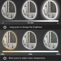 HOMCOM Lustro łazienkowe podświetlane, asymetryczny kształt, 80 x 60 cm, LED, 3 barwy światła, funkcja przeciwmgielna, srebrne(m-4)