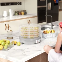 HOMCOM 5-laags voedseldehydrator, 245W droogoven met instelbare temperatuurregeling, Grijs(m-2)