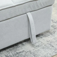 HOMCOM 2 Seater Sofa Bed, 3-in-1 Convertible Sleeper Sofa with Click-clack Adjustable Backrest and 2 Pillows, Light Grey(m-9)