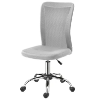Vinsetto Office Chair, Armless Desk Chair, Adjustable Computer Swivel Chair with Rolling Wheels and Mesh Back for Home Work Study, Grey(m-11)