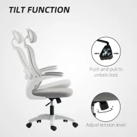 HOMCOM Ergonomiczny fotel biurowy z siateczkowym oparciem, regulowany, z podnoszonymi podłokietnikami, 5 kółek, funkcja przechylania, plastik, szary(m-7)