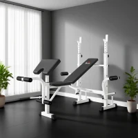 HOMCOM Banco de Musculación Inclinable con Soporte para Barra Ajustable Extensión de Piernas y Curl de Predicador para Gimnasio(m-9)