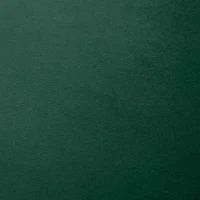 HOMCOM Lot de 2 chaises de Salle à Manger Chaise de Cuisine Velours Pieds métal vert dim. 52L x 54l x 79H cm(m-9)