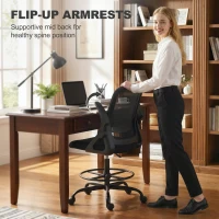 HOMCOM Painting Chair, Mesh Computer Desk Chair with Flip-up Armrests, Black(m-7)