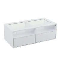 Smart Coffee Table with App-Controlled LED, USB Port and Glass Top, Practical Unit with 2 Drawers and Shelves,100L x 50W x 35H cm, White(m-2)