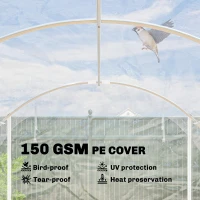 Outsunny Tunel foliowy, przechodnia szklarnia z cynkowaną stalową ramą i UV odpornym pokryciem PE, przezroczysta(m-5)