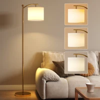 HOMCOM LED Floor Lamp with Remote Control - Gold Tone(m-1)