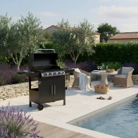 Barbecue a gaz - Paarl - 4 brûleurs - Surface de cuisson principal : 60 x 42 cm - Grille de maintien au chaud - Acier(m-4)