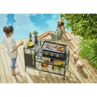 BRASERO Chariot pour Plancha - 128x60x89 cm - Pour plancha jusqu'a 4 feux - Métal - Noir(m-4)