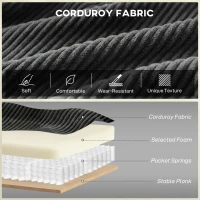 HOMCOM 2 Seater Sofa, 140 cm Loveseat Sofa with Spring Cushions, Metal Legs, 2 Pillows, Dark Grey(m-4)