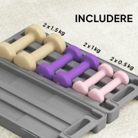 HOMCOM Set di Manubri Pesi Fitness da 6 kg con Impugnatura Antiscivolo e Valigetta, Multicolore(m-5)