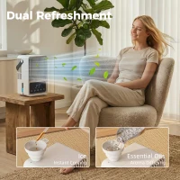 HOMCOM Desk Fan with Humidifier and RGB Light Portable Table Fan with 550ml Water Tank Black(m-6)