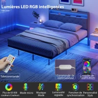HOMCOM Cadre de lit 140 x 190 cm avec sommier acier, lit 2 personnes flottant avec lumières LED RGB et station de charge, gris(m-5)