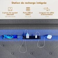 HOMCOM Cadre de lit 160 x 200 cm avec sommier acier, lit 2 personnes flottant avec lumières LED RGB et station de charge, gris(m-6)
