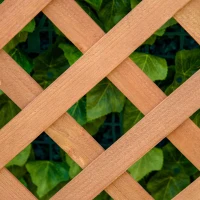Outsunny Jardinieră cu spalier, bac de flori ridicat, pentru plante cățărătoare, legume, flori, din lemn masiv, interior și exterior, curte, grădină, balcon, 70 x 28 x 117 cm, maro(m-8)