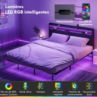HOMCOM Cadre de lit 160 x 200 cm avec sommier acier, lit 2 personnes flottant avec lumières LED RGB et station de charge, gris(m-5)