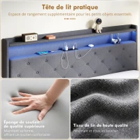 HOMCOM Cadre de lit 160 x 200 cm avec sommier acier, lit 2 personnes flottant avec lumières LED RGB et station de charge, gris(m-7)