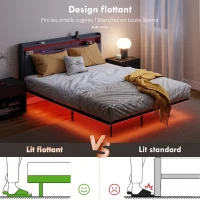HOMCOM Cadre de lit 160 x 200 cm avec sommier acier, lit 2 personnes flottant avec lumières LED RGB et station de charge, gris(m-4)