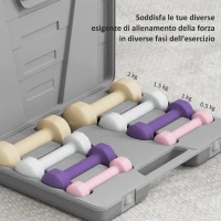 HOMCOM Set Manubri 10 kg con Valigetta Porta Pesi, in Metallo, PU e Plastica, 41x30x8 cm, Multicolore(m-7)