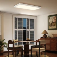 HOMCOM Conjunto 2 Plafons LED Finos e Minimalistas com Cor Regulável, em Aço e Plástico, 60x30x3.7 cm, Branco(m-2)
