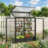 Outsunny Polycarbonate Greenhouse with Hinged Door, Top Vent, Lean-to Green House, Walk-in Greenhouse, 4 x 2ft, Black(m-2)