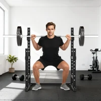 SPORTNOW Suporte para barra 2 níveis Suporte para discos em aço Apoio para barra longa até 300 kg Preto(m-4)