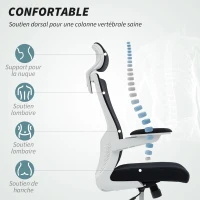 HOMCOM Chaise bureau ergonomique, fauteuil de bureau, accoudoirs relevables, soutien lombaire, appui-tête, 60x63x120cm, noir(m-4)