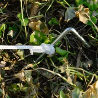 Outsunny Invernadero de Jardín 600x300x280 cm Invernadero de Túnel para Cultivo de Plantas Verduras con 2 Puertas 6 Ventanas Enrollables y Cubierta de Polietileno PE 140g/m² Blanco(m-8)