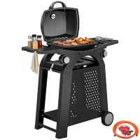 Outsunny 2 Burner Gas Grill with 2 Side Tables, 3.8 KW Barbecue Grill with Cast Iron Grates, 2-in-1 Tabletop BBQ with Wheels(m-10)