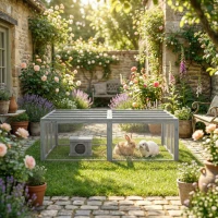 PawHut Enclos extérieur clapier en bois avec 2 portes Maisonnette pour 2-4 lapins nains 180,4 x 150 x 48 cm Gris(m-4)