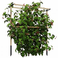 Outsunny Treillis de jardin métallique flexible pour baies : framboises, mûres & myrtilles – treillis extensible(m-6)