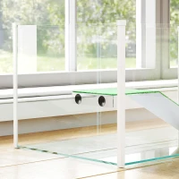 PawHut Terrario per tartarughe con piattaforma, rampa e vista 360°, 60x35x28 cm, Bianco(m-4)