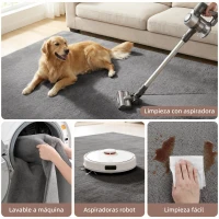 HOMCOM Alfombra Salón 120x160 cm Lavable en Lavadora Pelo Largo Estilo Moderno Tapete para Sala de Estar Dormitorio Gris Claro(m-4)