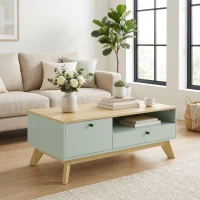 HOMCOM Table basse de salon, table d'appoint rectangulaire avec tiroir, porte et compartiment ouvert, vert clair et chêne(m-4)