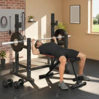 SPORTNOW Support pour barre 2 niveaux Porte-disques en acier Râtelier pour barre jusqu'à 300 kg Noir(m-5)