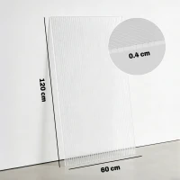 Outsunny 10 Plăci Celulare din Policarbonat 4 mm, Rezistente la UV, Panou Celular Dublu pentru Seră, 120x60 cm, Transparent(m-3)