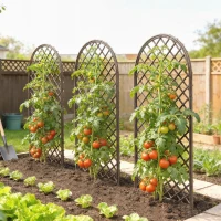 Outsunny 3er-Set geflochtenes Weiden-Rankgitter Bogenpaneel für Kletterpflanzen 43 x 2 x 112 cm, natürliche Holzoptik(m-6)