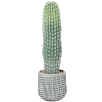 HOMCOM Cactus artificiel 66 cm, plante décorative avec pot pour décoration intérieure, vert