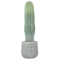 HOMCOM Künstlicher Kaktus 66 cm, dekorative Kunstpflanze mit Topf für Innendekoration, Grün