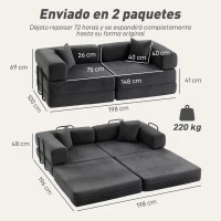 HOMCOM Klappbares 2‑Sitzer‑Schlafsofa mit Chenille‑Bezug, dick gepolstert, breite Armlehnen, 2 Kissen, Dunkelgrau(m-3)